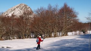 Ski de fond aux sources de la Loire, au Gerbier de Jonc