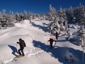 Raquette à neige au Rechausseyre - Les Estables