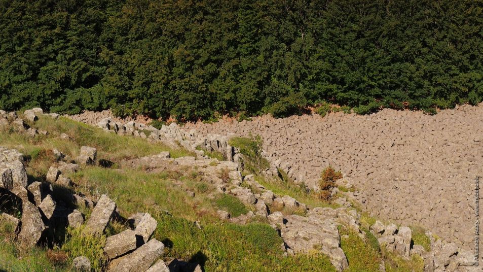 Chaos d'orgues basaltiques au Rocher du Cheylard