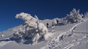 Raquette à neige au Mont Mézenc