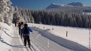 Pistes damées pour le ski classique et le skating aux Estables