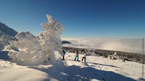 Des sculptures de neige naturelles