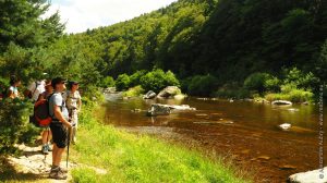 Randonnée dans les gorges de la Loire sauvage